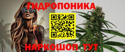 СК Севастополь
