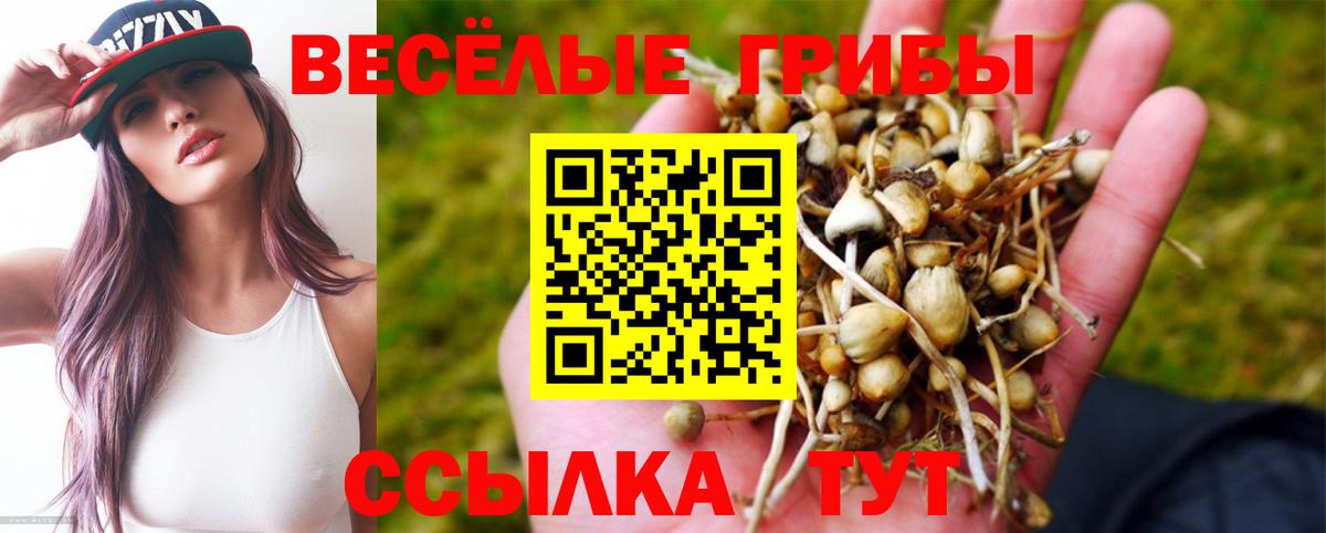 Псилоцибиновые грибы Psilocybe Сатка